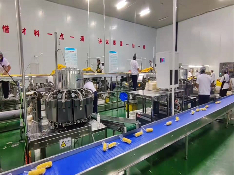 鲜食玉米加工流水线